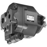 Yuken PV2R2-65-F-RAA-41 Vane Pump